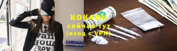 дурь Волосово