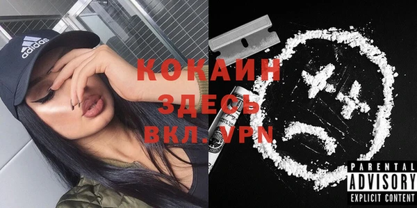 ГАЛЛЮЦИНОГЕННЫЕ ГРИБЫ Вяземский