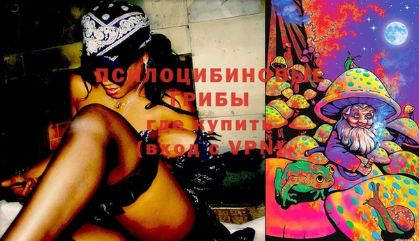 дурь Волосово